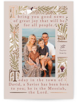 Bible story Foil-Pressed Holiday Cards