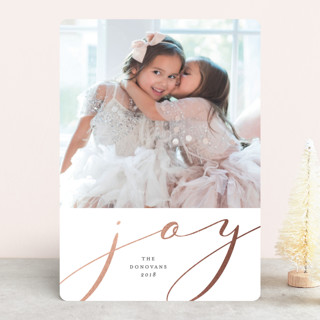 Simply Joy Foil-Pressed Holiday Cards