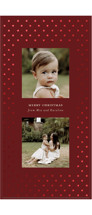 Dotted Foil-Pressed Tall Holiday Cards