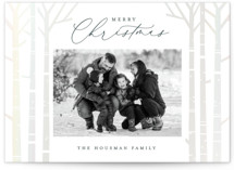 Birch Trees Gloss-Press Holiday Cards®