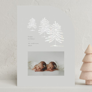 Morning Snow Gloss-Press Holiday Cards®