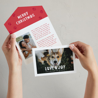 Puppy Love and Joy All-in-One Holiday Cards