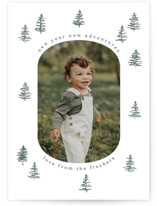 scribble trees Letterpress Holiday Photo Cards
