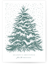 O Tannenbaum Letterpress Holiday Photo Cards