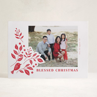 Bird and foliage Letterpress Holiday Photo Cards