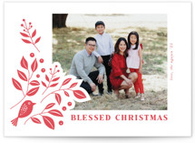 Bird and foliage Letterpress Holiday Photo Cards