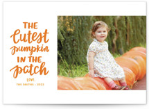 Cutest Pumpkin Halloween Cards