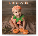 Sweet Pumpkin Halloween Cards