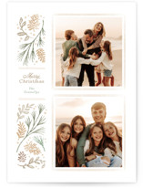 Sedgwick by Jennifer Wick