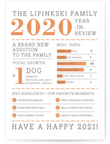 Year in Review Holiday Cards