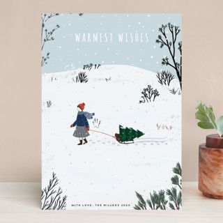 Warmest Holiday Wishes Holiday Cards