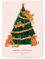 happy meows Holiday Cards
