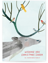 Reindeer Cheer Holiday Cards