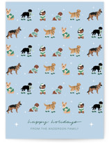 Holiday Dogs Holiday Cards
