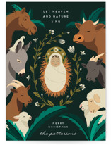 Nativity Animals Holiday Cards
