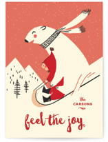 Polar Friend Holiday Cards