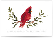 Winter Branch Holiday Cards