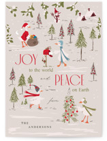 SoDucklingChristmas Holiday Cards