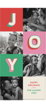Color Pop Joy Tall Holiday Cards