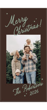 Merry bursts Tall Holiday Cards
