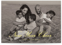 Fresh Year New Year Photo Cards