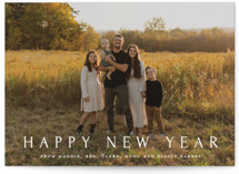 Vast New Year Photo Cards
