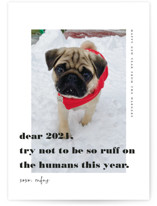 dear 2021 New Year Photo Cards