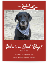 Good Boy Holiday Postcards