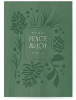 Pines and pinecones by Jennifer Wick