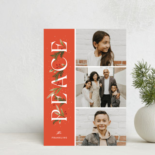 merry little trio Holiday Postcards