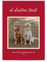 Christmas Treats by Sarah Hawkins Designs
