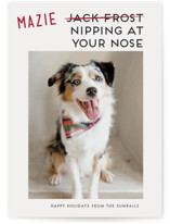 Not Jack Frost by Akweley Creative