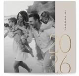 Year in Display Foil-Pressed Square Holiday Cards