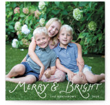 Bright Script Square Holiday Cards