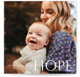 Cambridge Square Holiday Cards