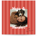 Wags & Wonder Square Holiday Cards