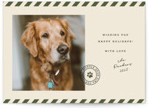 Mostly Good Holiday Photo Cards