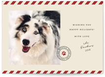 Mostly Good Holiday Photo Cards