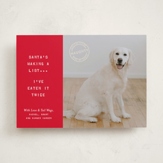 NAUGHTY HOLIDAY DOG Holiday Photo Cards