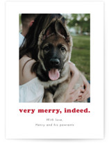 Indeed Holiday Photo Cards