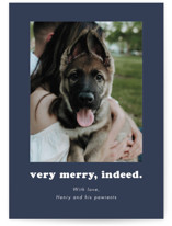 Indeed Holiday Photo Cards