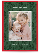 Durham Holiday Photo Cards