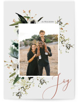 Winter Anemones Holiday Photo Cards