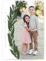 Fir and Berries Holiday Photo Cards