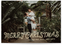 Sugar Cookie Holiday Photo Cards
