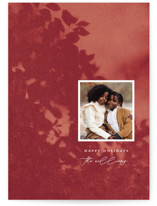 Penumbra Holiday Photo Cards