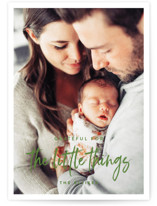 Beensy Holiday Photo Cards