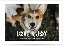 Puppy Love and Joy Holiday Photo Cards