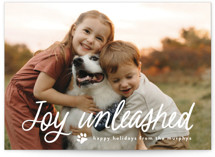 Unleashed Holiday Photo Cards