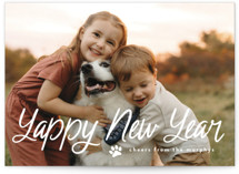 Unleashed Holiday Photo Cards